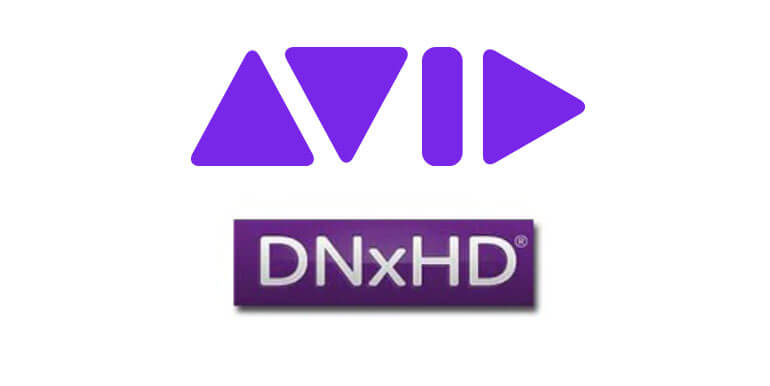 avid dnxhd logos dnxhd logo