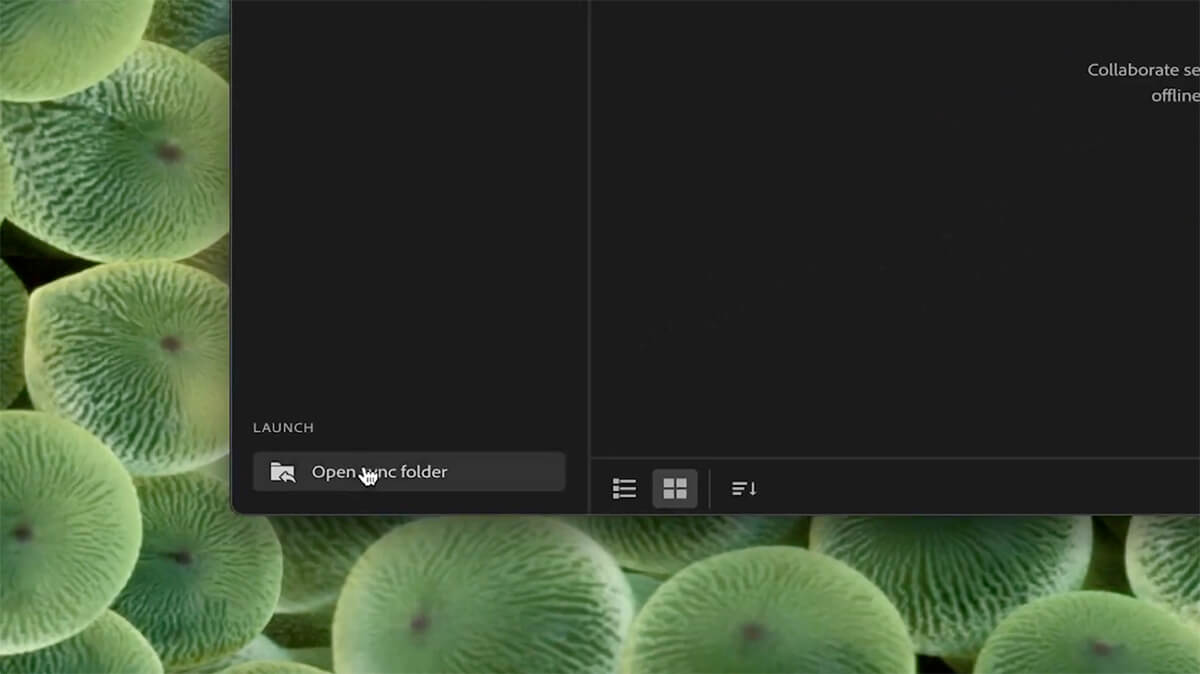 Creative Cloud app Adobe Creative Cloud sync folder