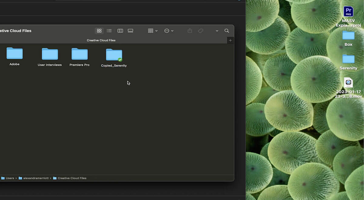 Creative Cloud Adobe Creative Cloud Files window