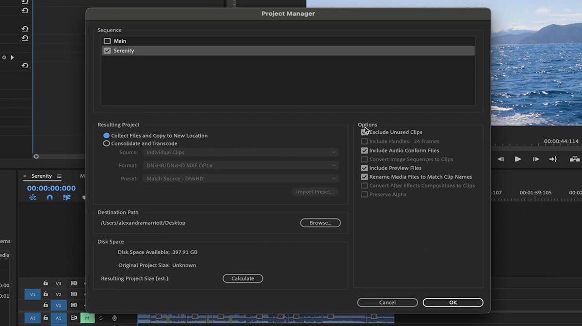Project Manager Adobe Premiere Pro Project Manager window
