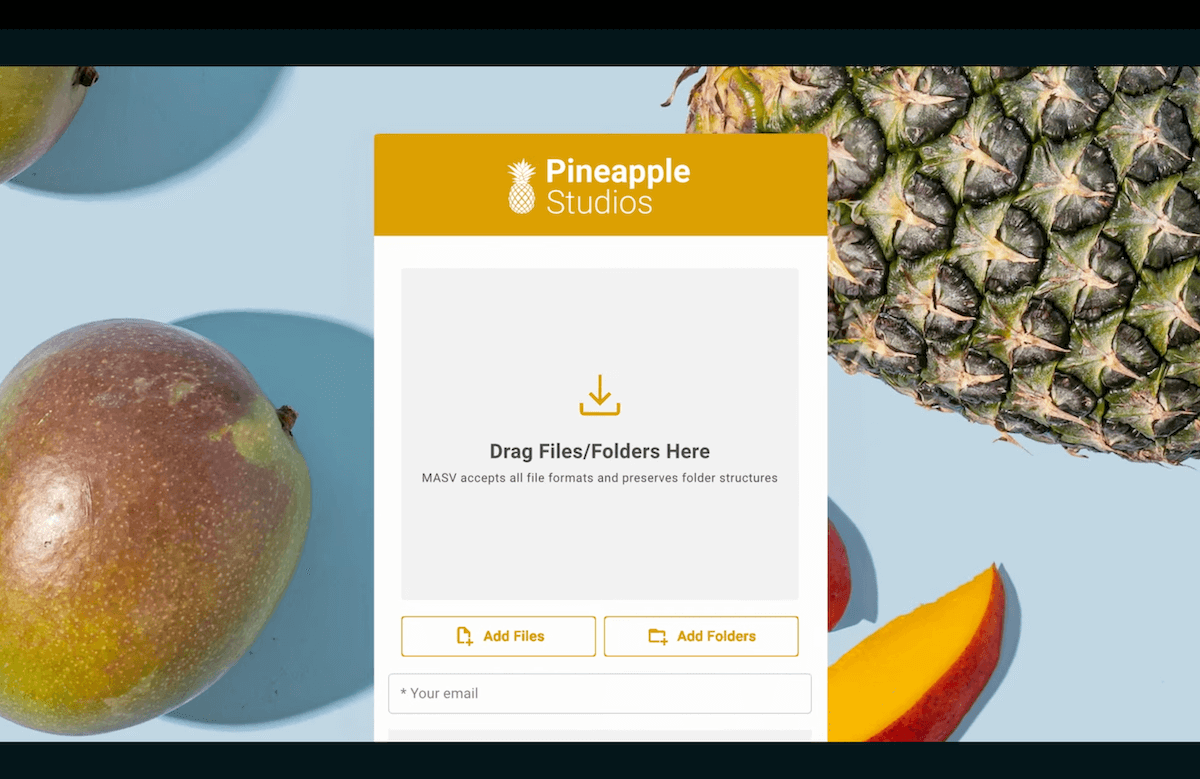 custom branding MASV portal Placeholder image