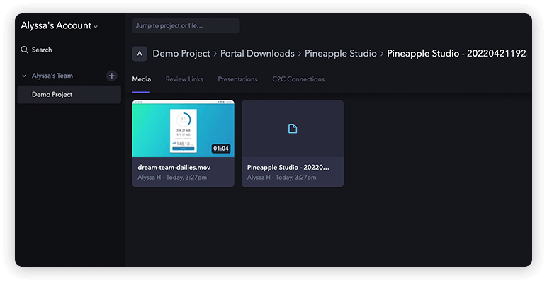 custom-metadata-fields-import-frameio Snapshot of a MASV delivery automatically uploaded to a Frame.io project