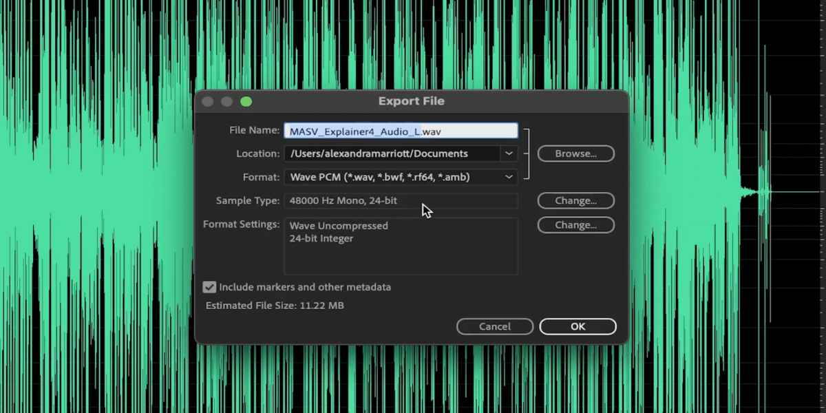 Dual Mono Files 6 Placeholder image