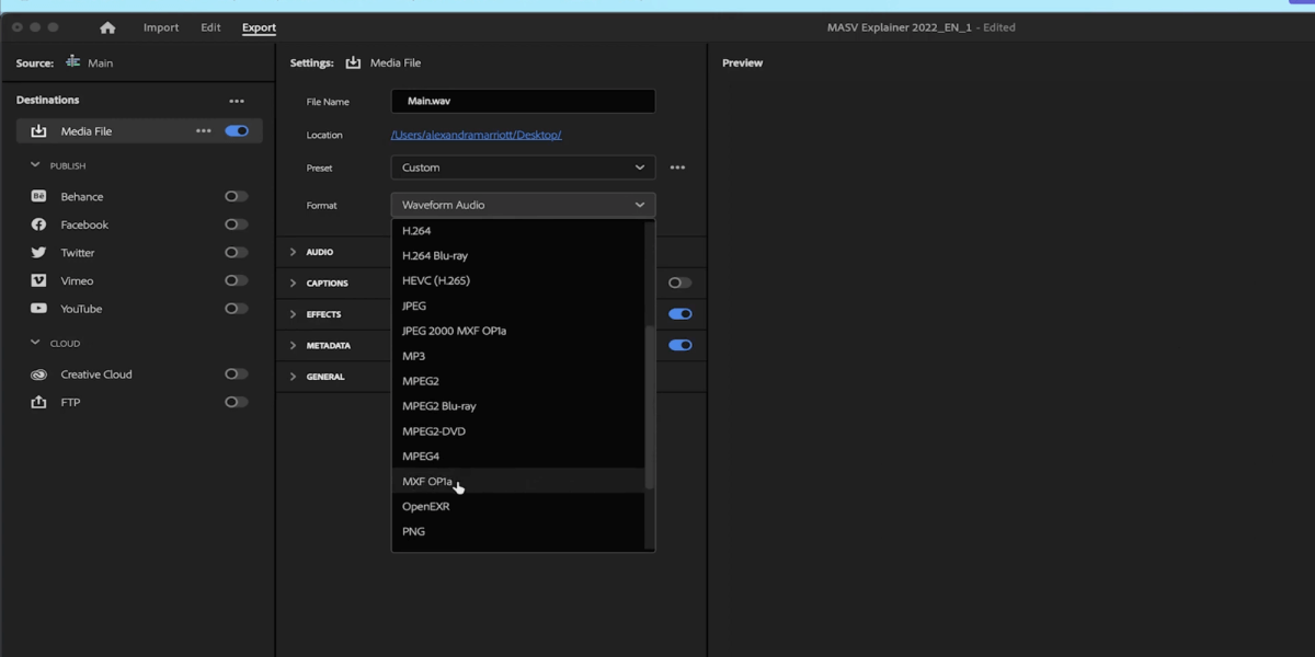 Export_ Formats and Codecs 2 Placeholder image
